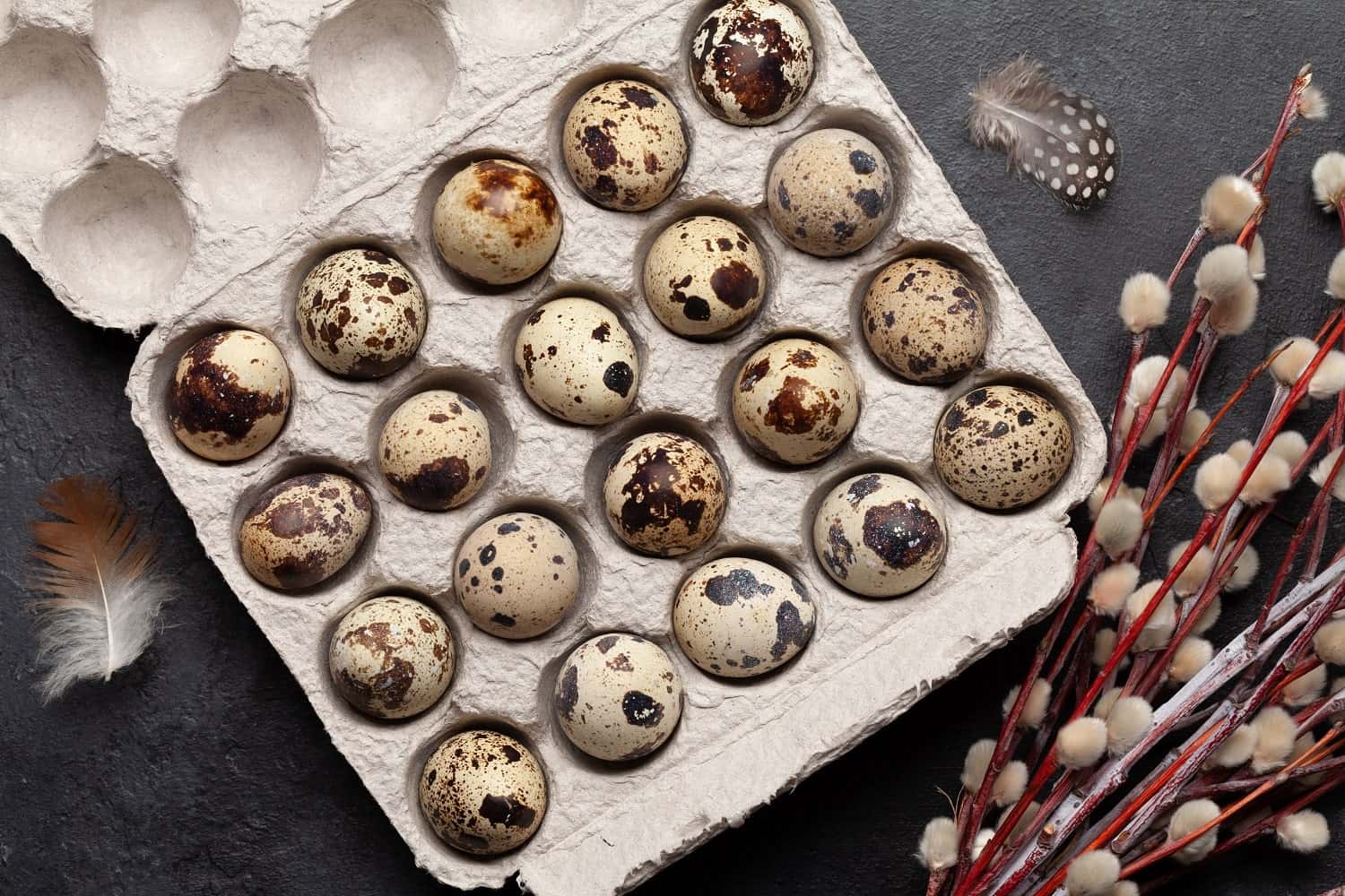 You can get Quail eggs at Green Smith Farm.