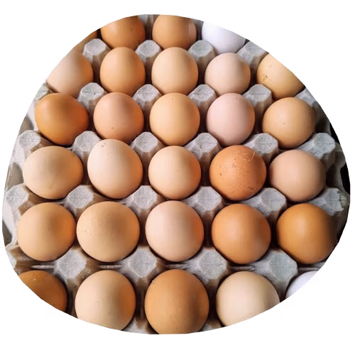 Eggs from Pasrute Raised Hens at Green Smith Farm.