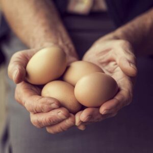 Green Smith Farm also produces eggs