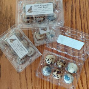 Nutritious, fresh Quail Eggs, at Green Smith Farm