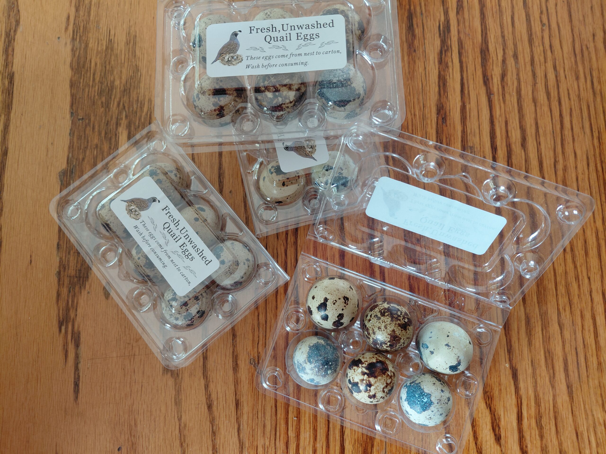 Nutritious, fresh Quail Eggs, at Green Smith Farm